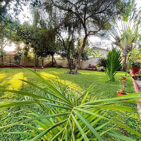ארושה Malika Home מראה חיצוני תמונה